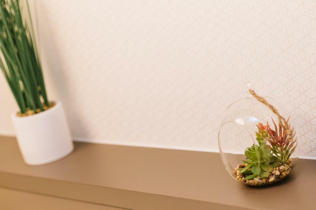 Apartman Donner Centar III 苏博蒂察 外观 照片